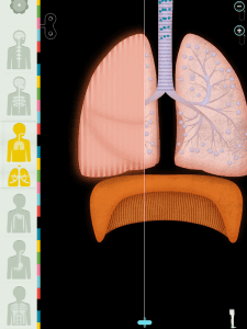 Gode Apps til Børn - Menneskets Krop