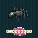 Wordbrain Edderkop svar, snyd og hjælp