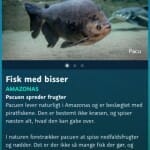 Den blå planet app